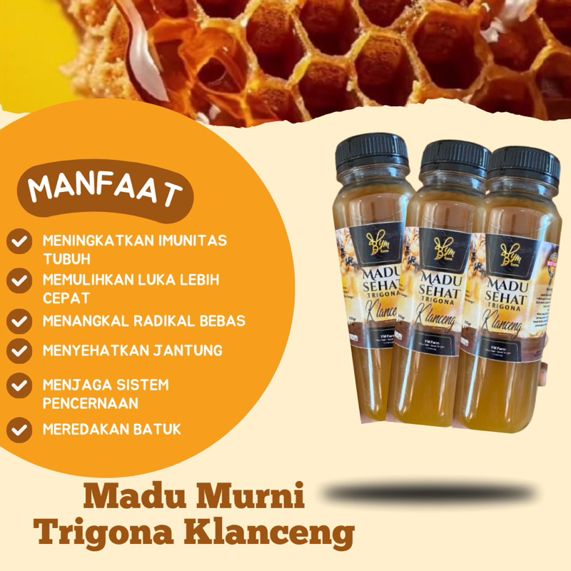 

Madu Murni Original Madu Klanceng Trigona Kesehatan 320 gr