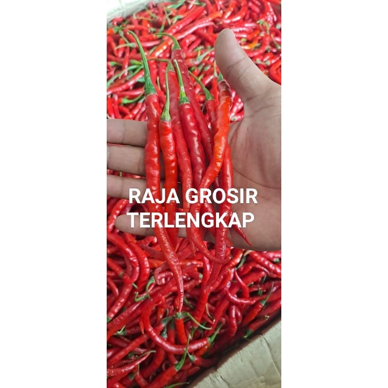 

TERMURAH!! CABE / CABAI MERAH KERITING SUPER 1KG