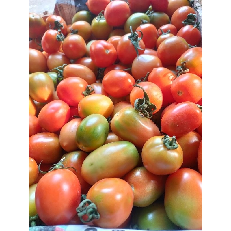 

Tomat buah dan sayur 500 gram