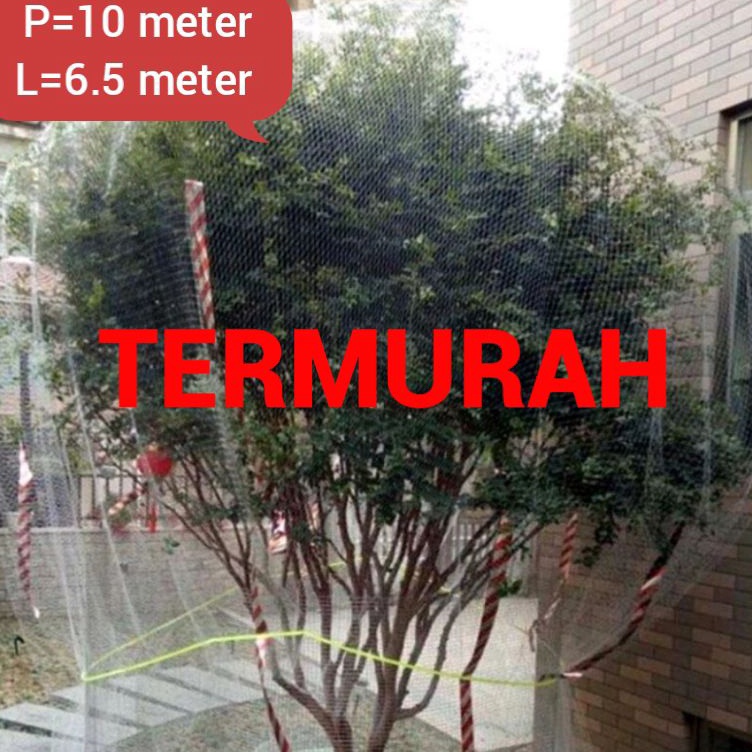 Baru Aman jaring pelindung tanaman dari hawa kelelawar dari burung pelindung buah tanaman klengkeng 