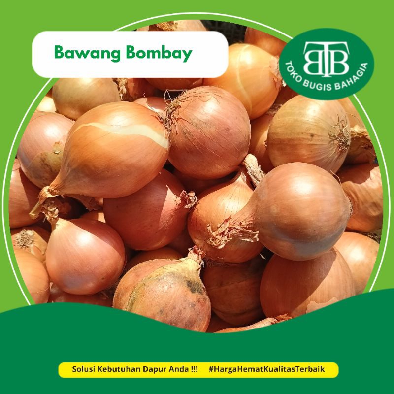 Bawang Bombay, Murah makassar