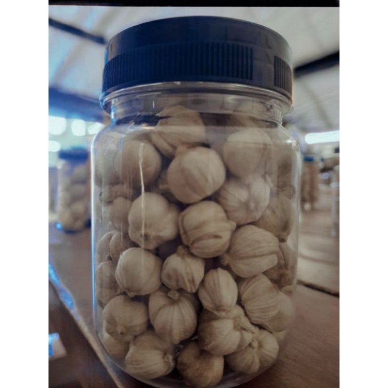

Kapulaga Putih Original Rempahan || Kualitas Export || white cardamom (dalam Kemasan Botol Bumbu)