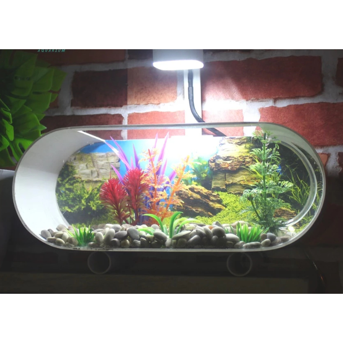 AQUARIUM VIRAL MINIMALIS 1 SET AQUARIUM MINI PVC PLUS POMPA AERATOR DAN LAMPU LED AKUARIUM CUPANG GU