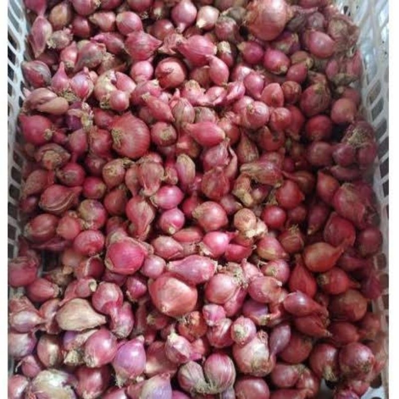 

Bawang Merah 2Kg Kering Berkualitas