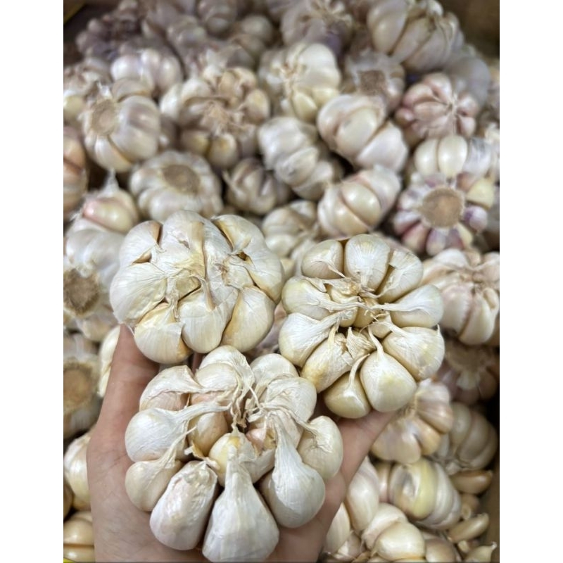 

bawang putih super 500 g