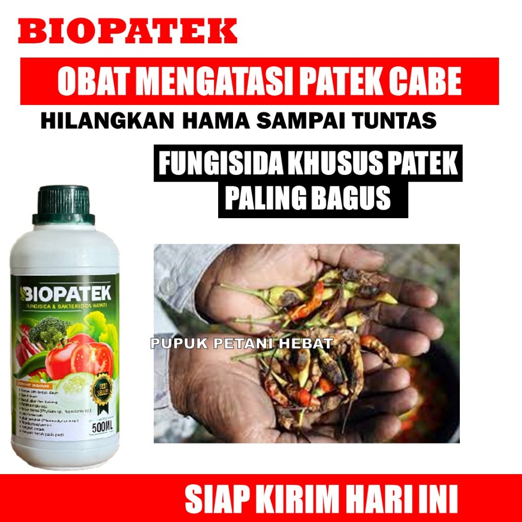 500 ML BIOPATEK Obat Hama Patek/Antraknosa Cabai/Cabe, Fungisida Hayati Obat Hama Patek Pada Tanaman