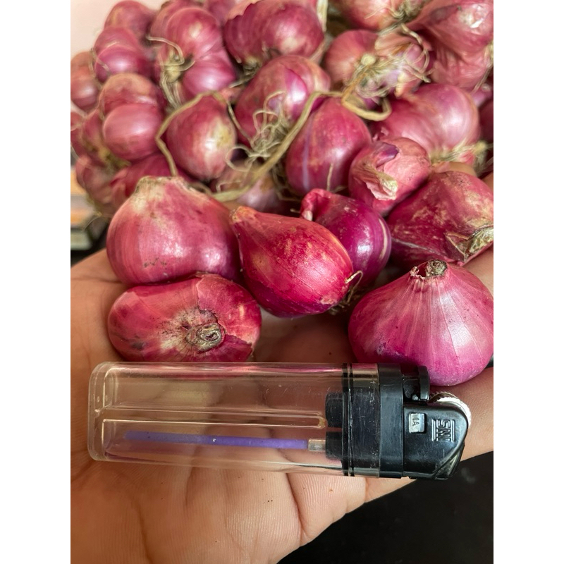 

Bawang Merah berkuwalitas grade A