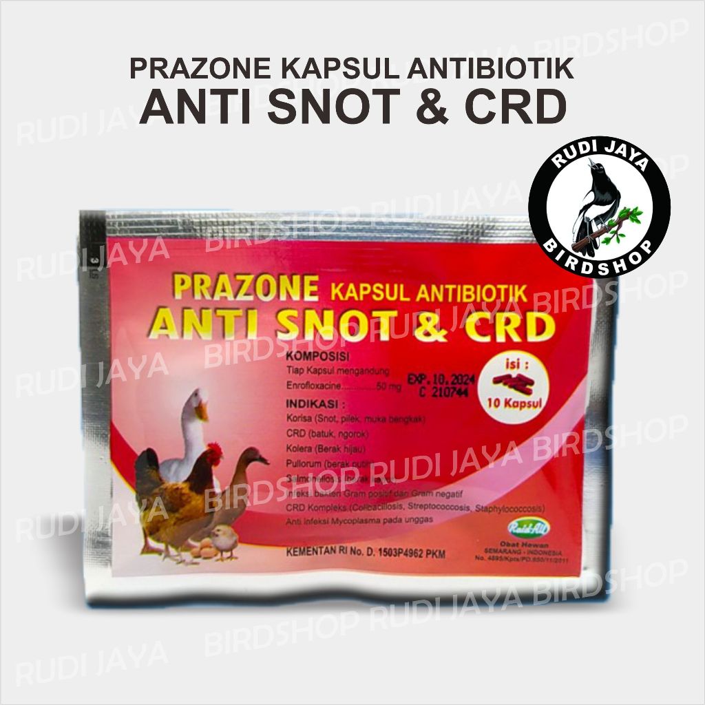 ANTI SNOT & CRD AYAM BEBEK 1 SACHET 10 KAPSUL PRAZONE ENROFLOXACIN RAID-ALL OBAT ANTIBIOTIK UNGGAS