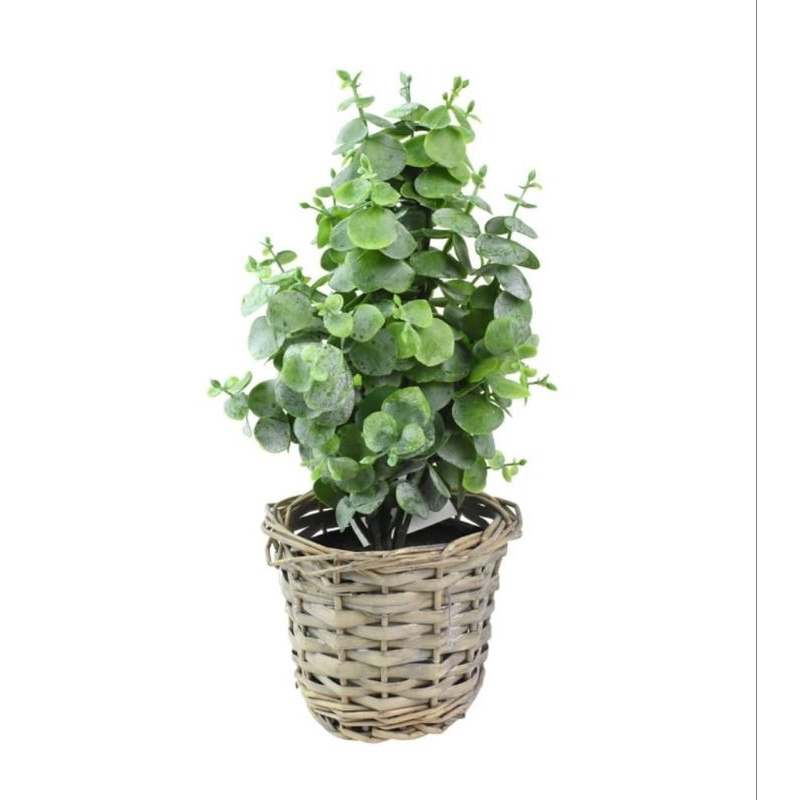 INFORMA TANAMAN HIAS ARTIFICIAL 5C// TANAMAN HIAS//BUNGA HIAS