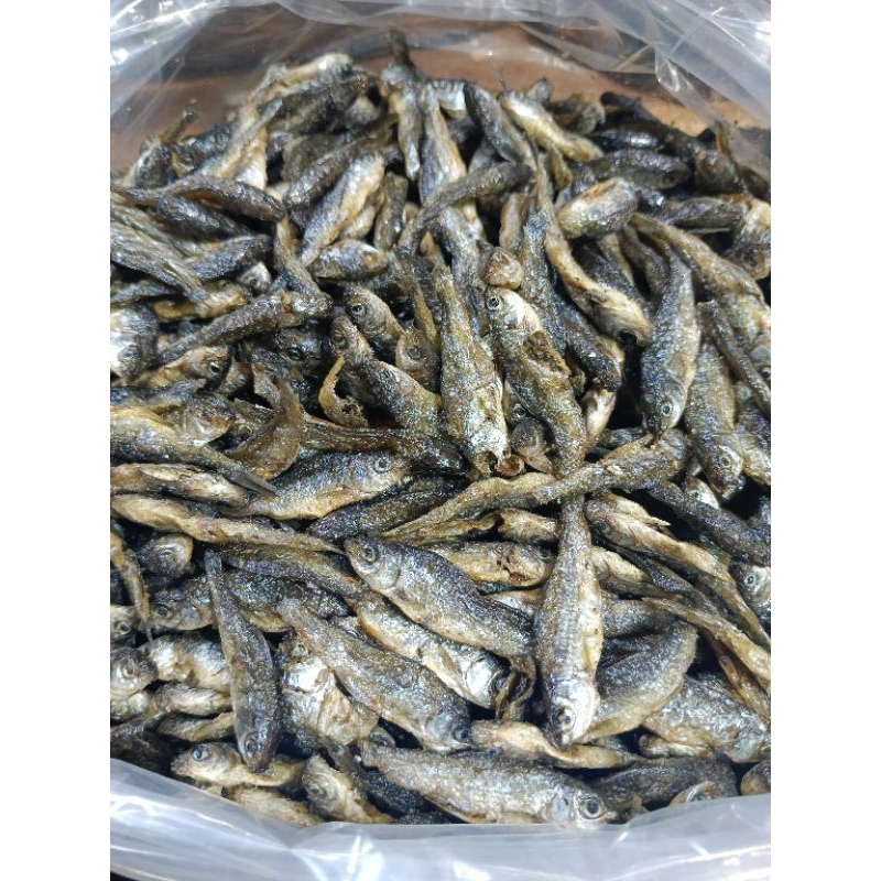 

Ikan Bilih Ikan Danau bilih Tawar 250gram