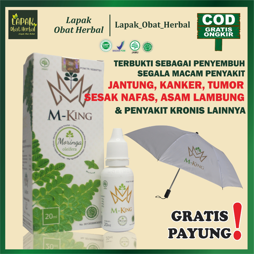MKING / Moringa King Jamu Tetes Herbal 100% Original BPOM