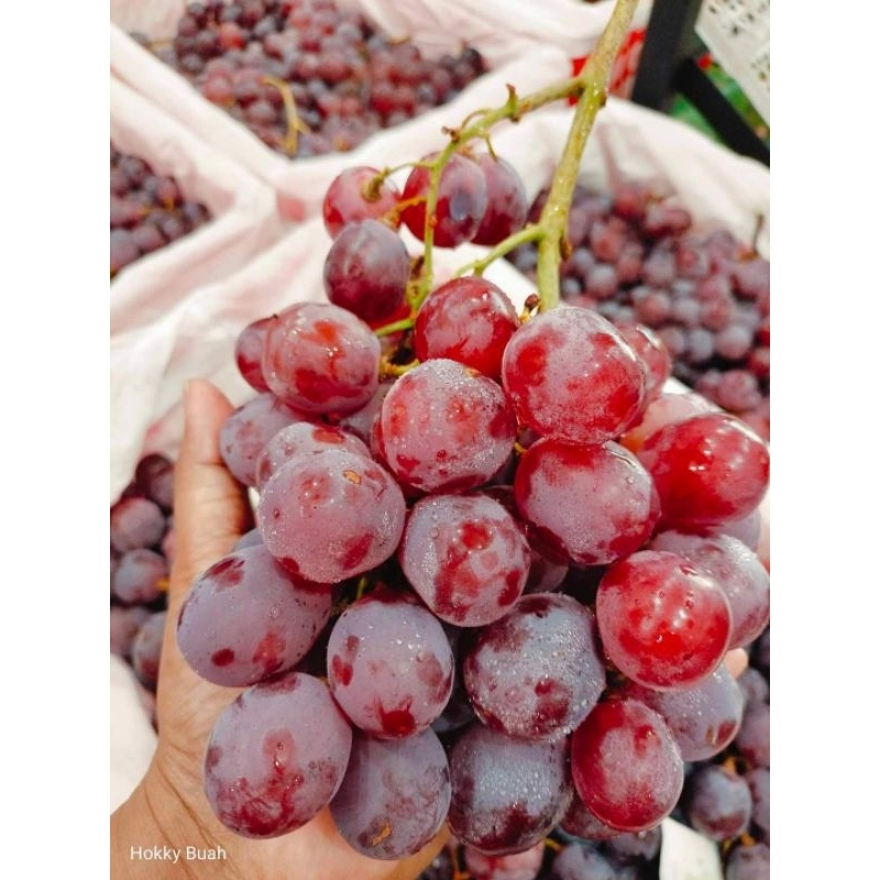 

Buah Anggur merah China 1kg Pack kardus