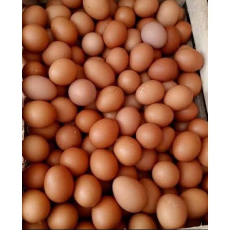 

Telur Ayam 1/2 kg