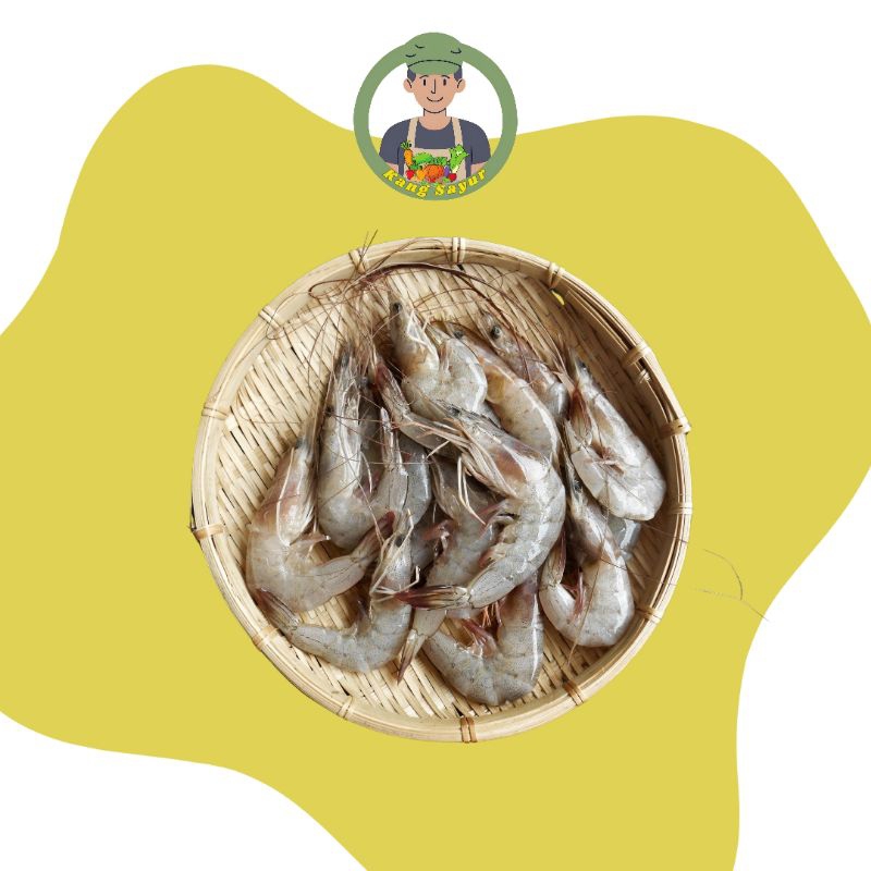 

Udang Segar bukan Frozen