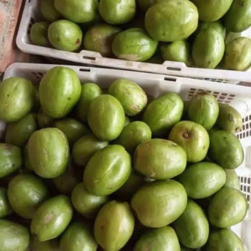

kedondong 1kg / kedondong rujak kedondong bangkok kedondong super
