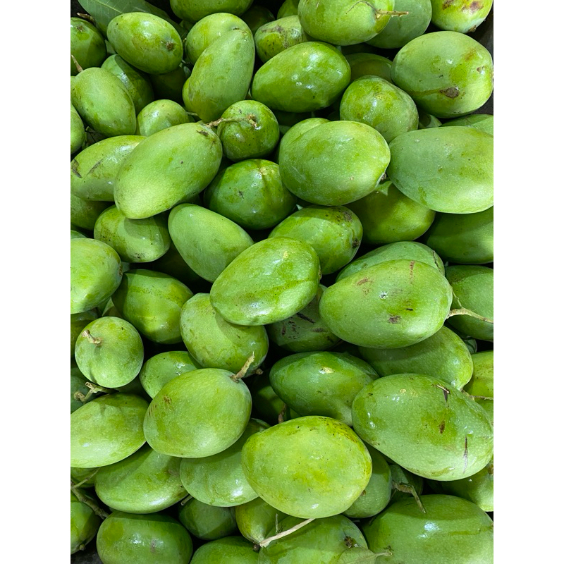 Mangga muda / mangga rujak / mangga mentah