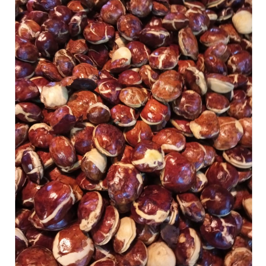 

JengkoltuaspekABmantapkemasan1kg/2kg