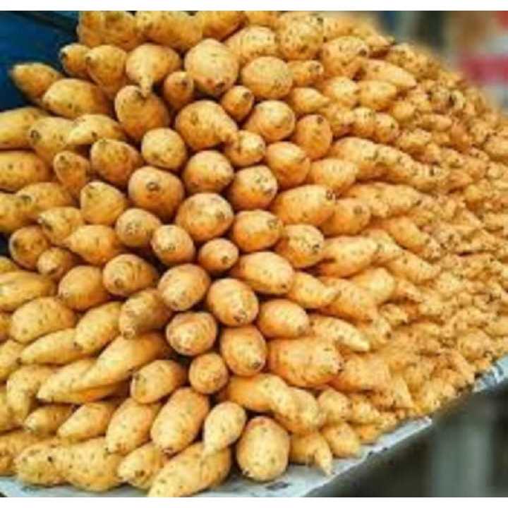 

Ubi Madu Cilembu Mentah super 1kg Kualitas AB