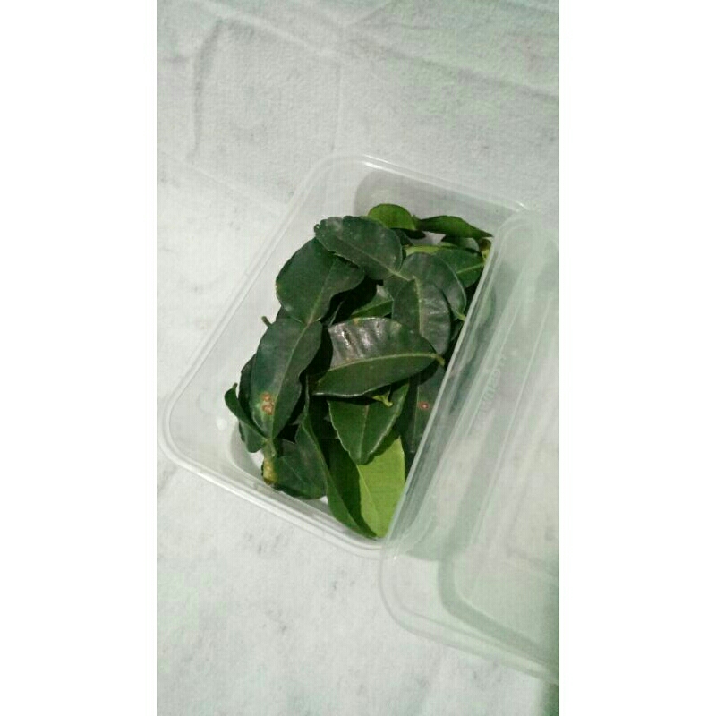 

Daun jeruk murah.fres langsung petik