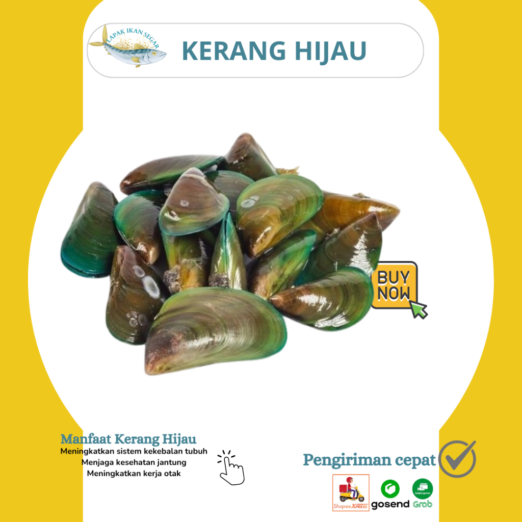 

Kerang Hijau Kerang Ijo Segar Ukuran Besar 1Kg