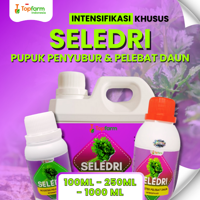 Pupuk Daun Sayur Seledri / Pupuk Untuk Tanaman Sayuran Seledri / Pupuk Tanaman Sayuran Seledri