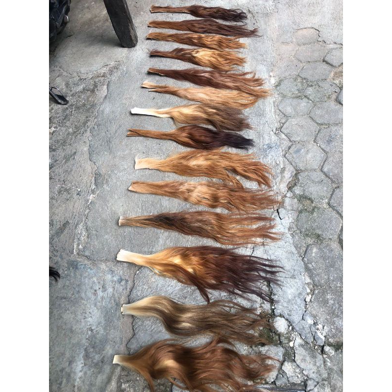 EKOR/BUNTUT SAPI SUPER (RAMBUT BARONGAN)