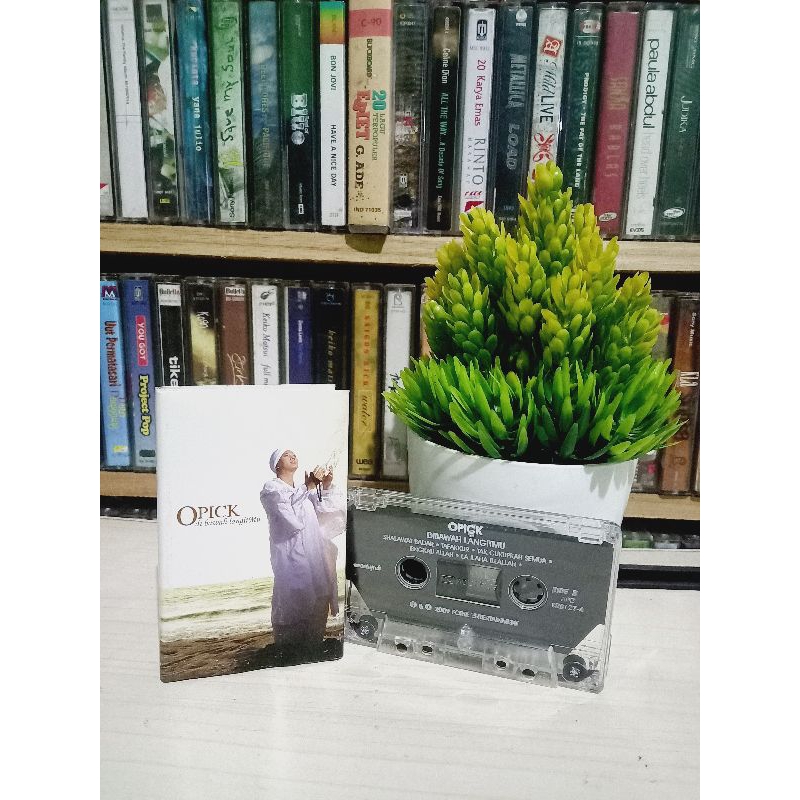 KASET OPICK DI BAWAH LANGITMU