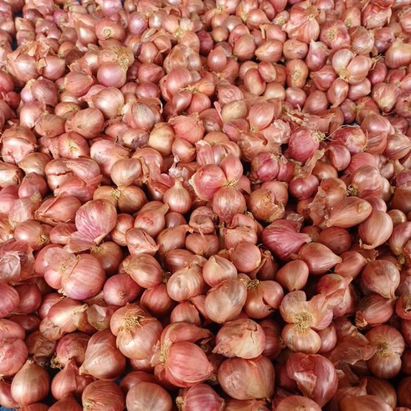 

BAWANG MERAH KERING 1 KG