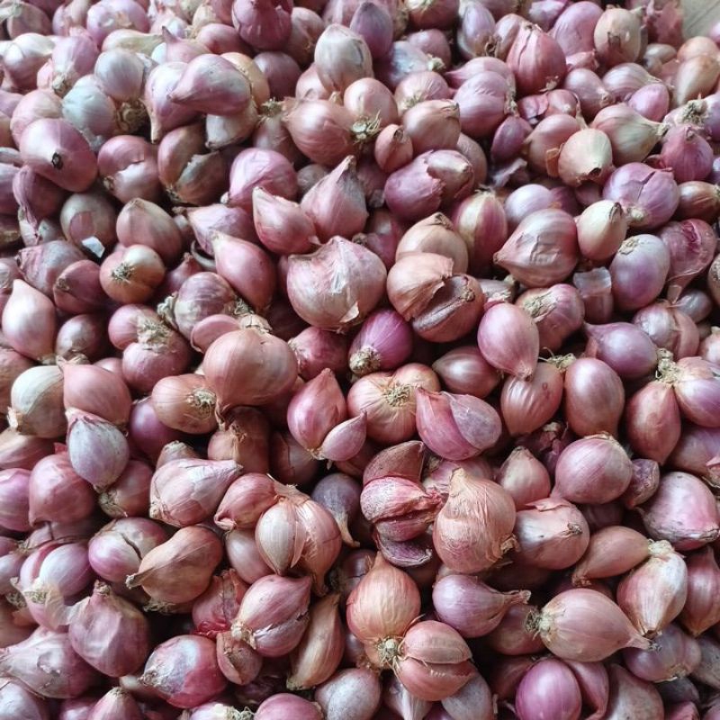 

BAWANG MERAH KERING 1 KG