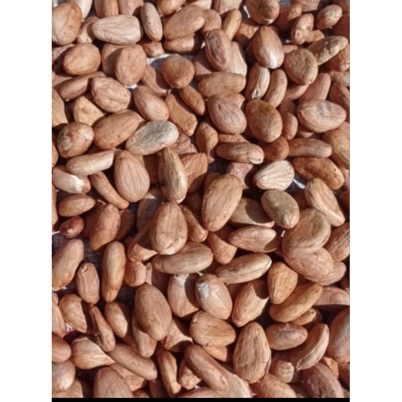 

PROMO Biji coklat kering/cacao kering super 50gram