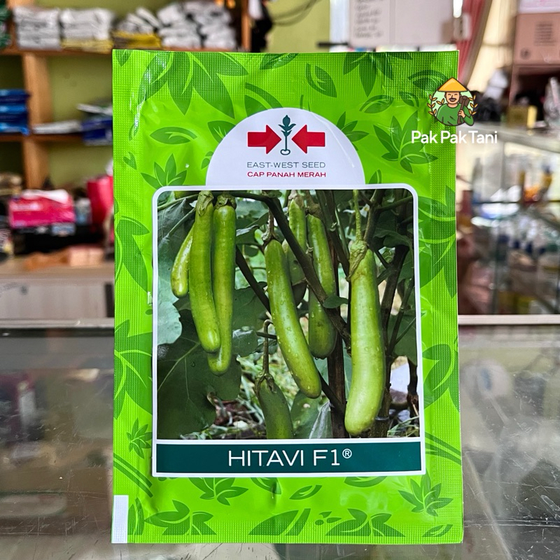 Terong Hitavi F1 Terong Hijau Tahan Virus Kemasan 1100 butir Original Pabrik