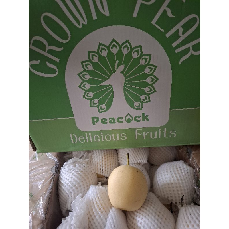 

pear/pir century merak manis banyak air