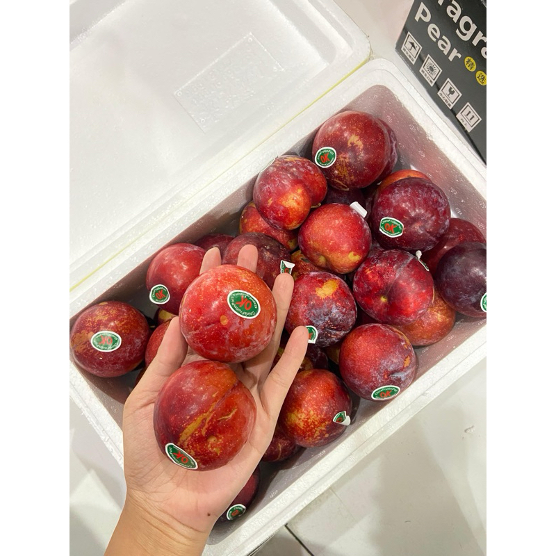 

450-500gr buah diet plum hitam plum merah asli import aussie