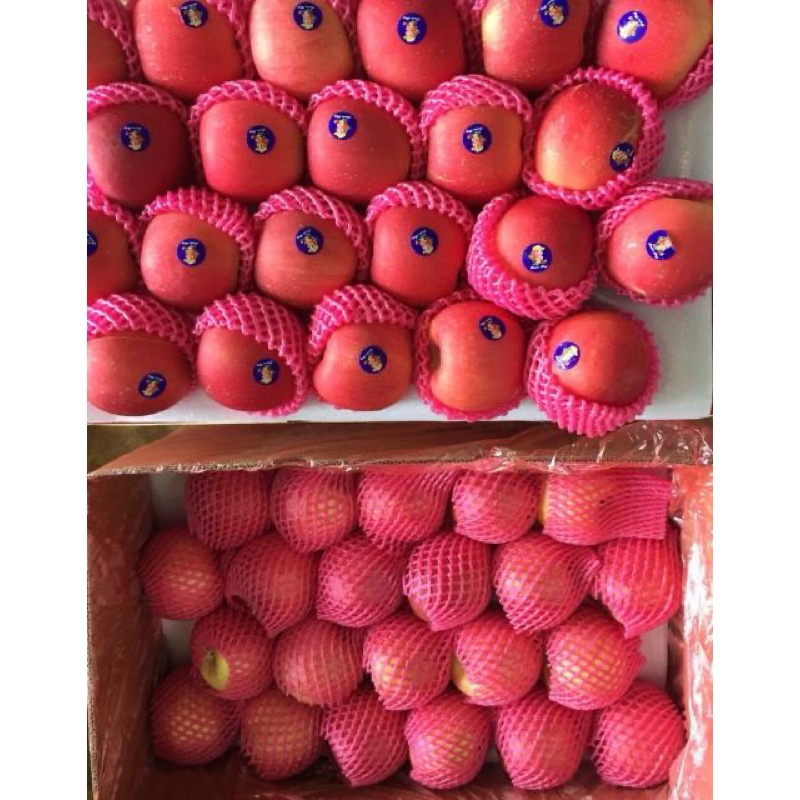 

APEL FUJI FRESH FRUITS