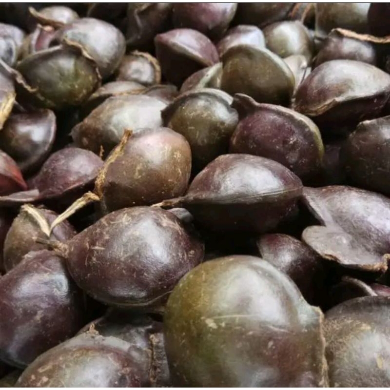 

jengkol kulitan murah