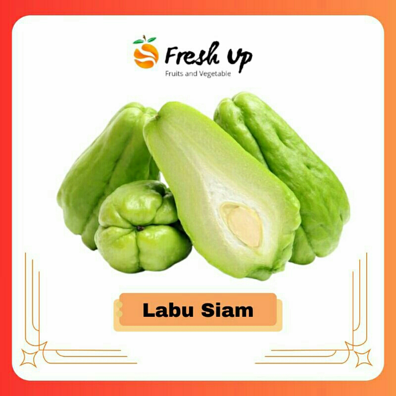 

Labu Siam Super Fresh 500 gr | FreshUp