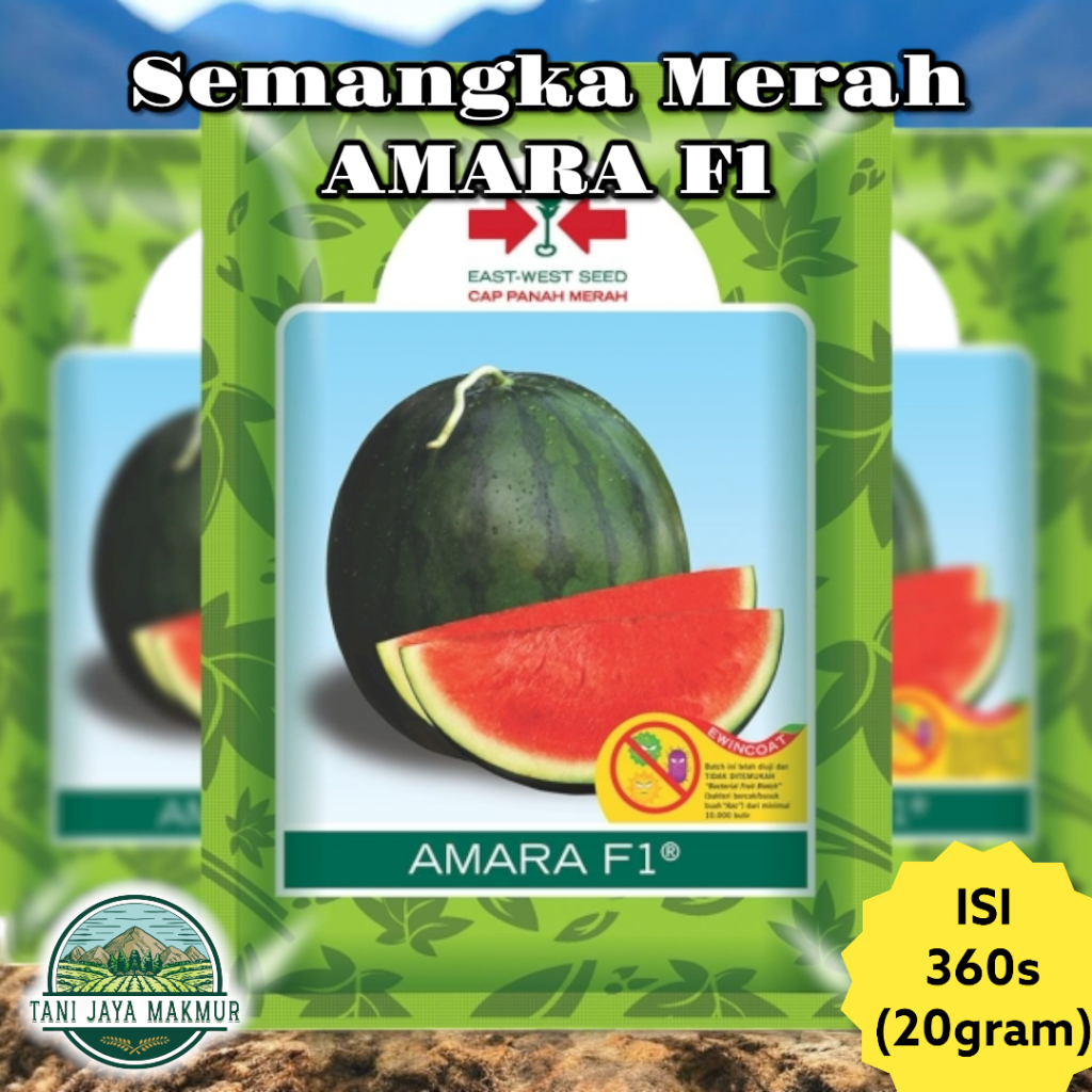 Benih Bibit Buah Semangka Merah Non Biji AMARA F1 360s (20gr) - Cap Panah Merah
