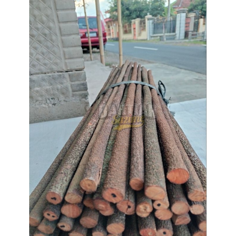 TANGKRINGAN / PANGKRINGAN ASEM BALI SUPER