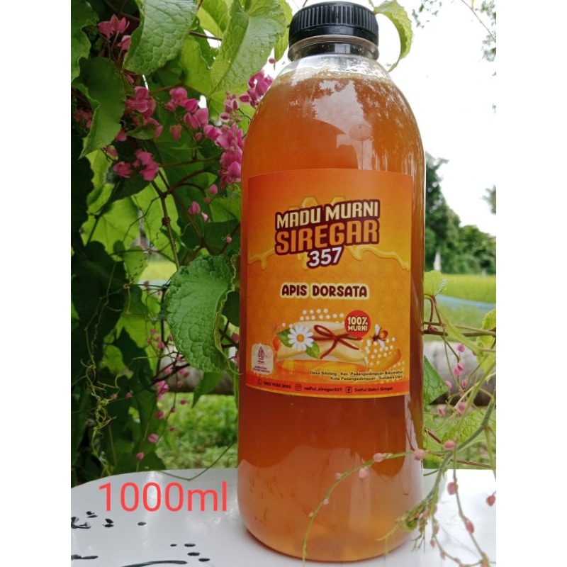 

Madu Hutan Lebah Sialang Apis Dorsatta 1000ml