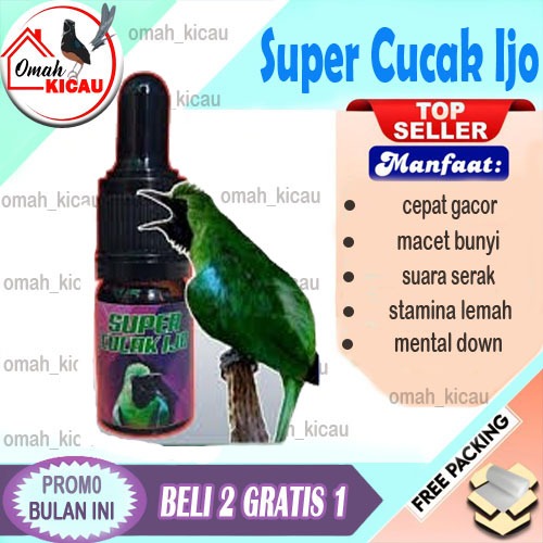 VITAMIN CUCAK IJO PENGGACOR & LOMBA BURUNG SUPER CUCAK IJO TRUCUK PLECI KOLIBRI CUCAK ROWO
