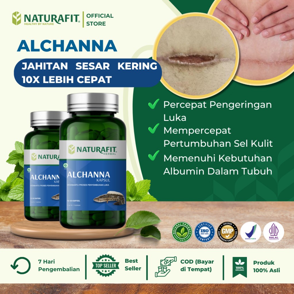 Naturafit Albumin Kapsul Ekstrak Ikan Gabus Untuk Luka Diabetes Luka Operasi Cepat Kering dan Sembuh