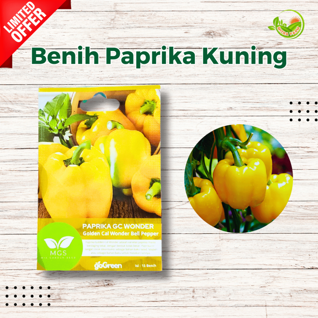 Benih Paprika Kuning/Benih Paprika GC Wonder/Paprika Kuning Benih Murah