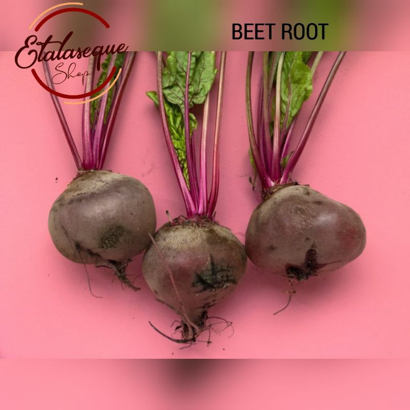 

Buah bit/beet root fresh