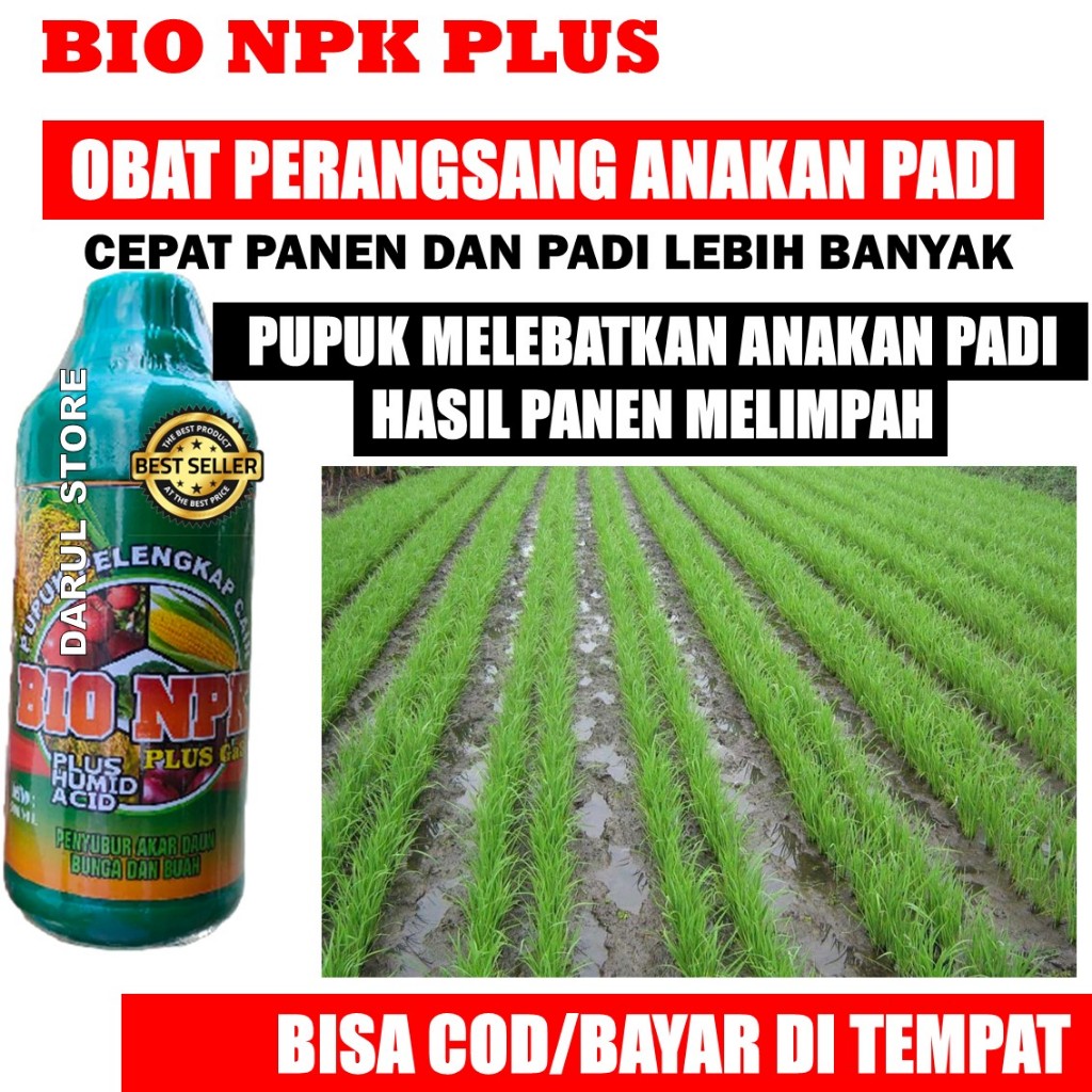 PUPUK PELEBAT PADI MURAH NPK 500 ML - Pupuk Ampuh Melebatkan Padi Penambah Bobot Padi Tanpa Hampa - 