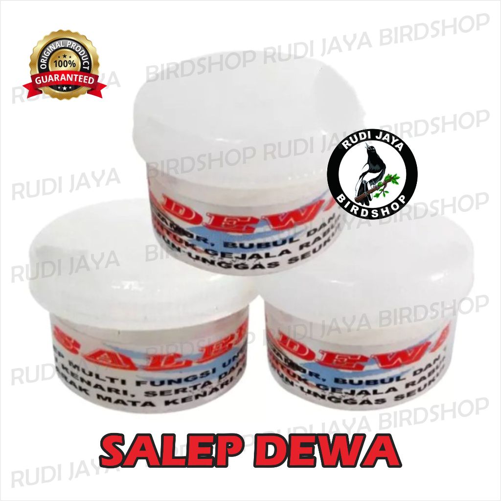 SALEP DEWA OBAT SALEP BURUNG SAKIT KAKI BERJAMUR UNTUK LOVEBIRD KENARI KACER MURAI DLL BUKAN KILLERV