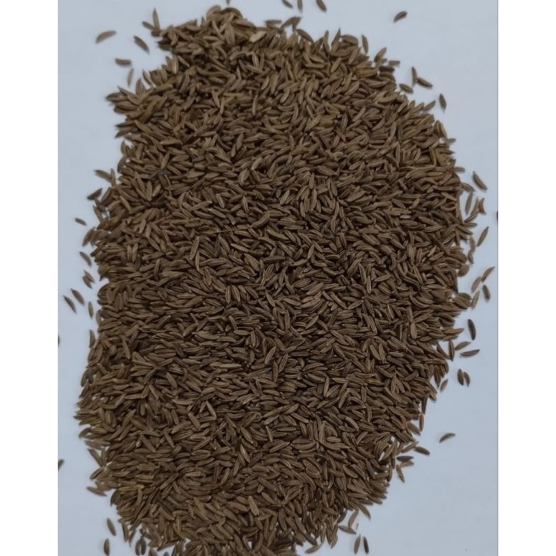 

Caraway 250gram / 100gram kwalitas premium