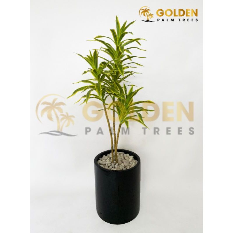 Pohon Artificial Hanjuang / Andong Hijau Kuning T: 1m