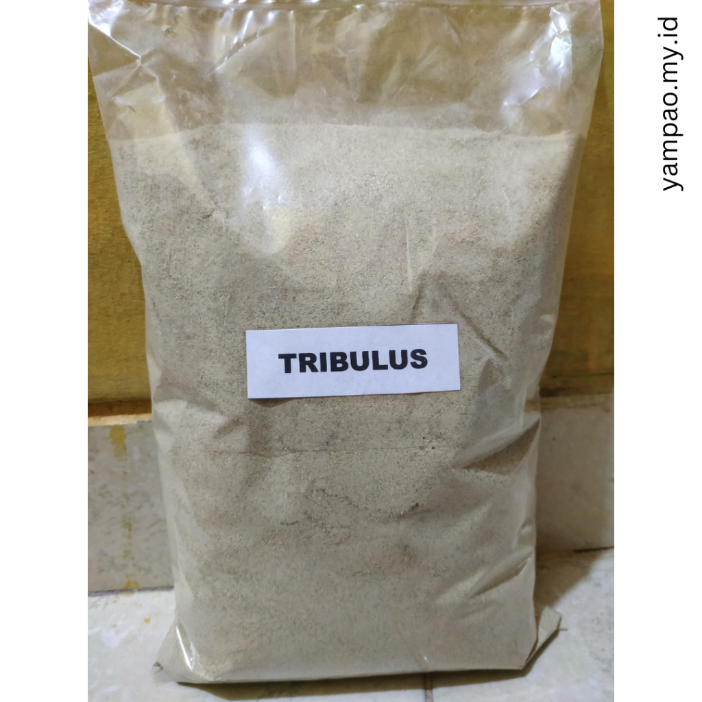 

TRIBULUS - YAMPAO RUMAH REMPAH | PENAMBAH GAIRAH PERANGSANG HERBAL ALAMI, UNTUK PASUTRI, TAHAN LAMA