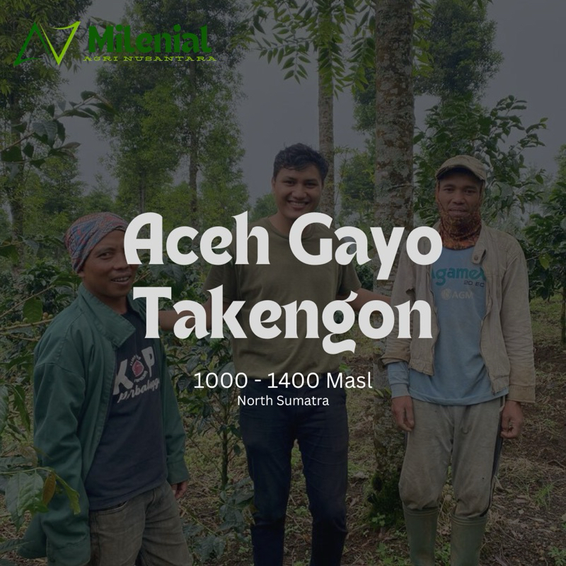 

Arabika Gayo Takengon Grade 1