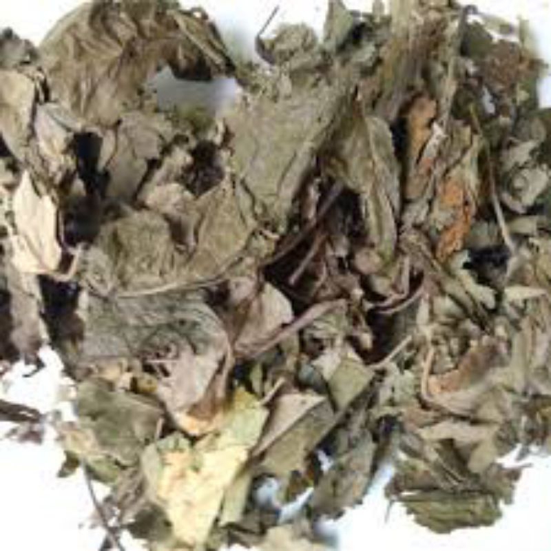 

Daun Jati Belanda Kering 1 Kg